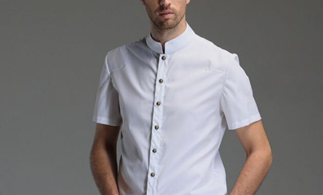 Mandarin Collar Dress Shirt Mens Stylish and Elegant Attire for Men